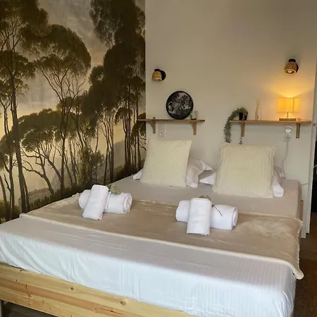 Charmant Studio Apartment